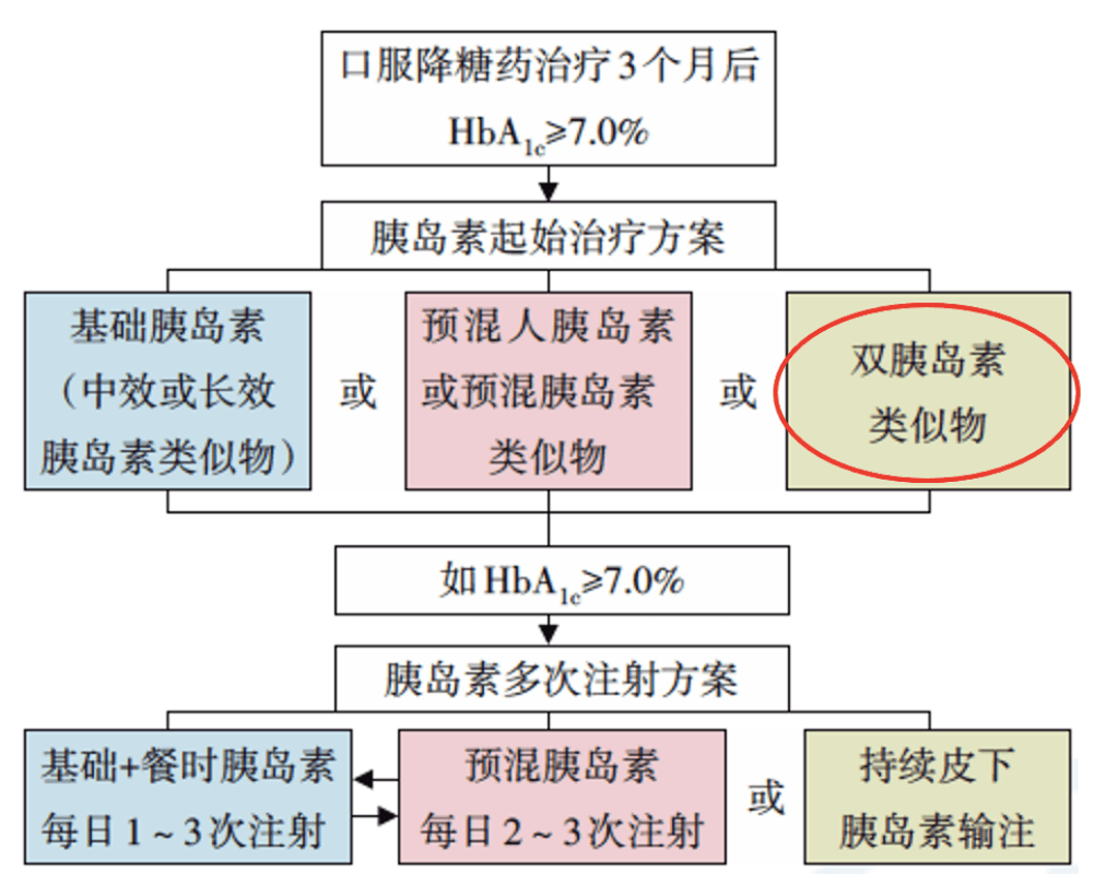 上海公安道路最新消息全面解读